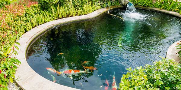 POND SERVICES