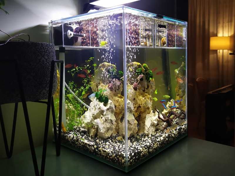 aquarium design